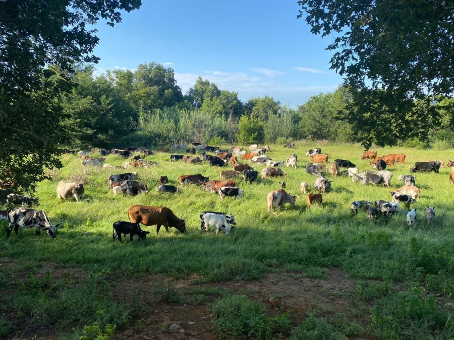 6 Bedroom Property for Sale in Remhoogte AH North West